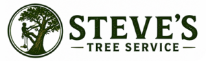 Steves Tree Service Weatherford Texas Tree Trimmer Removal Stumps And Land Clearing