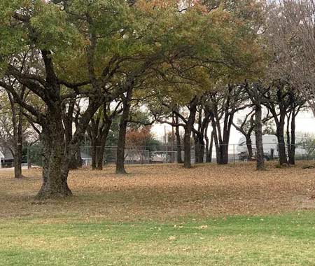 Emergency Tree Service Weatherford Tx