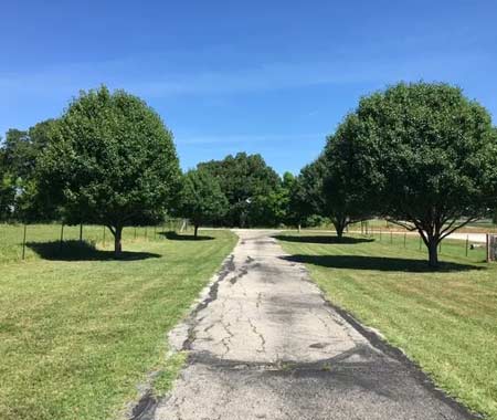Lot Clearing Weatherford Tx