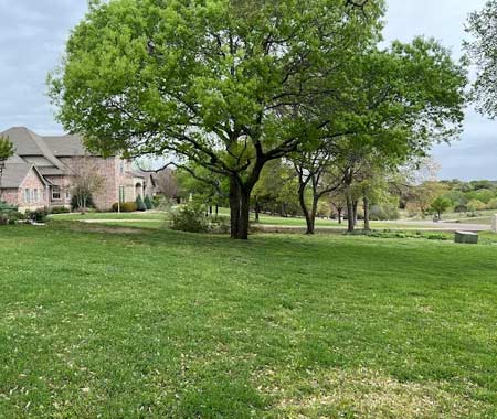 Storm Cleanup Weatherford Tx
