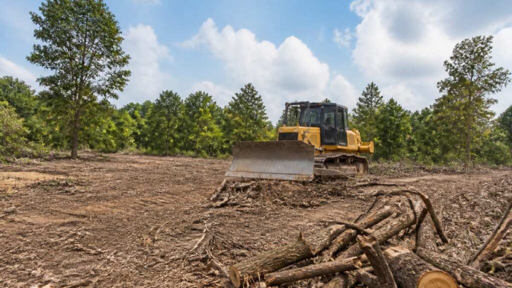 Average Cost To Clear Land 2026 Price Guide 1791243360