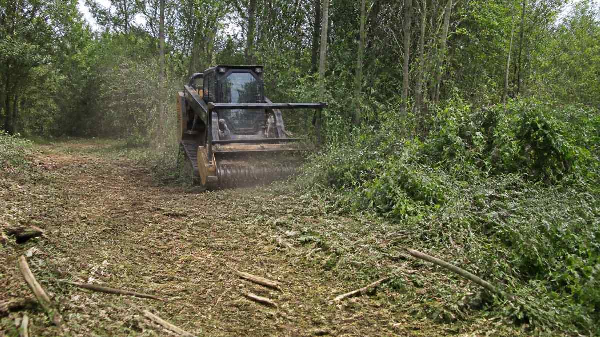 Forestry mulcher clearing dense brush to clear land on a wooded residential lot