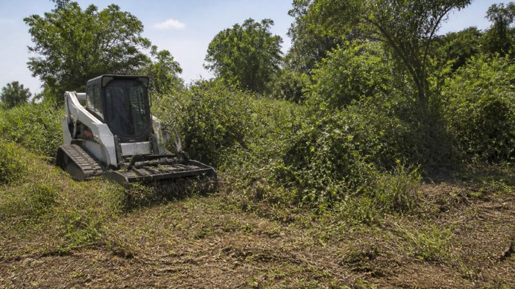 How To Clear Overgrown Land Step By Step Guide 1791954835