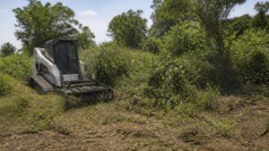 How to Clear Overgrown Land: Step-by-Step Guide