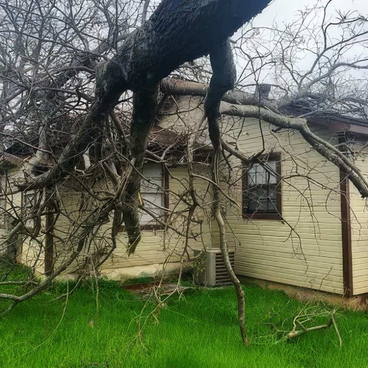 Emergency Tree Service Weatherford Texas