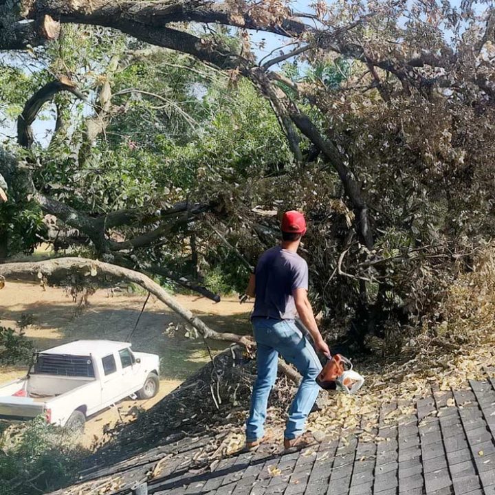 Emergency Tree Services In Weatherford Texas