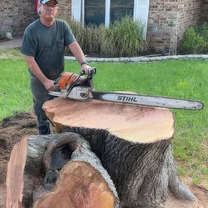 Professional Tree Removal Services In Weatherford Texas