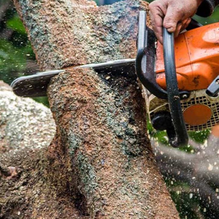 Professional Tree Removal Weatherford Tx