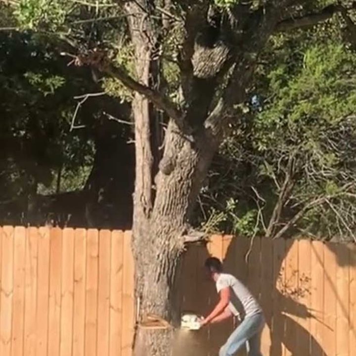 Tree Removal Weatherford Tx