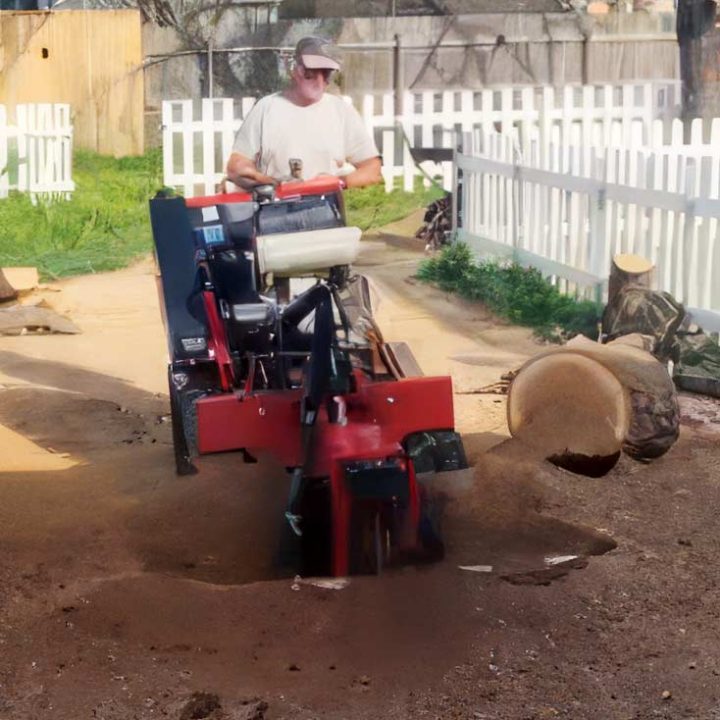 Tree Stump Removal Service Weatherford Tx