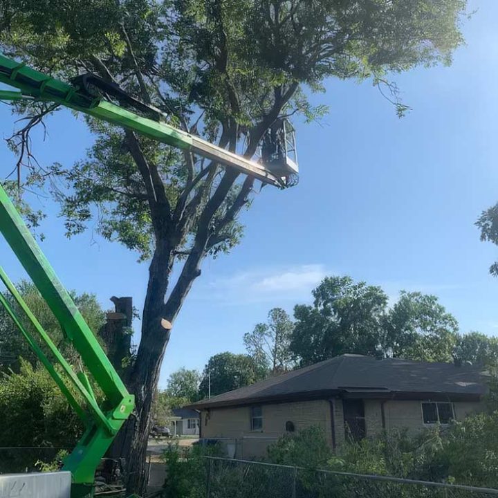 Tree Trimming Weatherford Texas